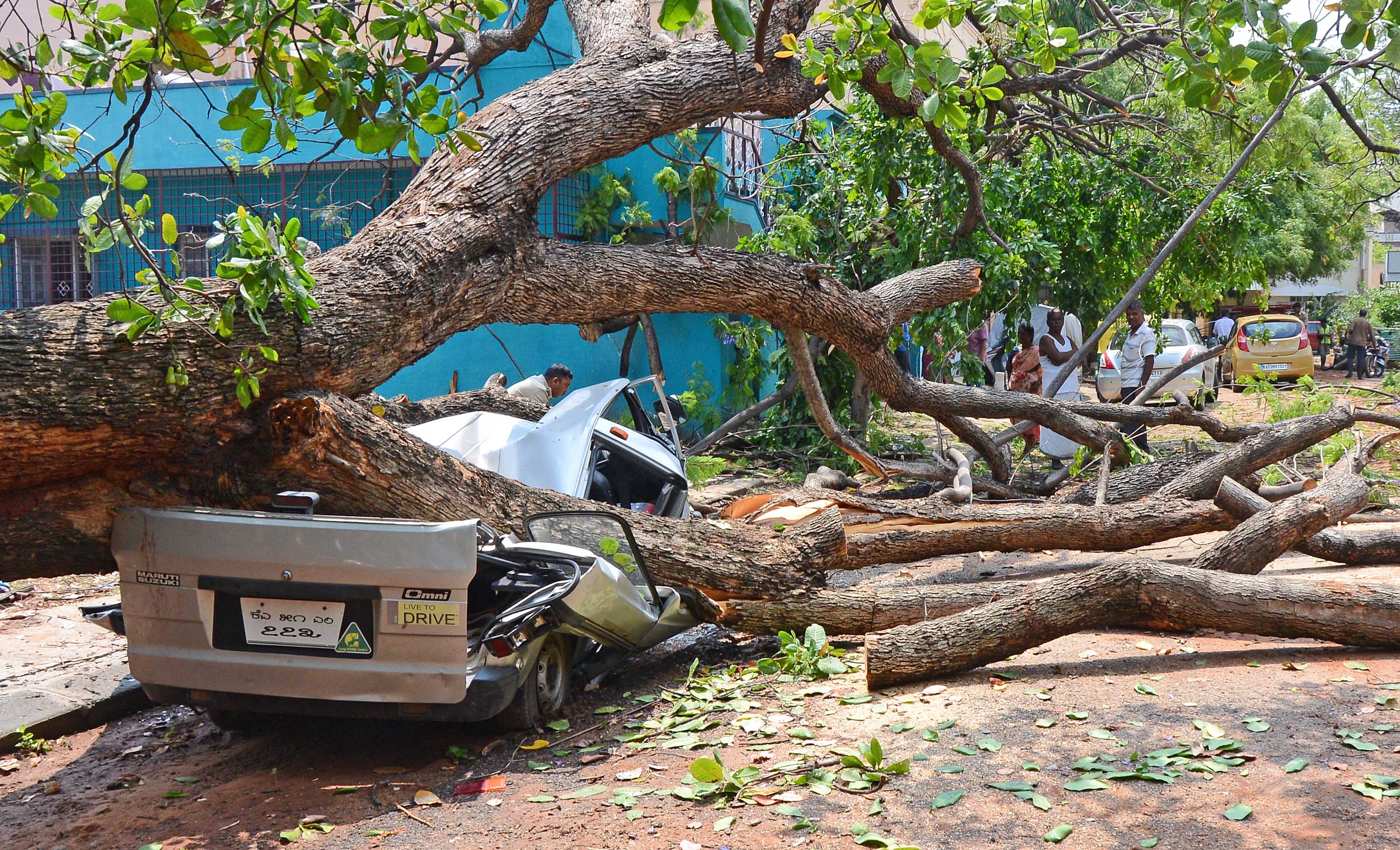 https://salarnews.in/public/uploads/images/newsimages/maannewsimage11052024_222833_Fire Personal cut of the branches of a  huge tree which fell on the car at BEML layout Rajarajeshwari Nagar due to heavy rains last night in Bengaluru on Saturday8.jpg